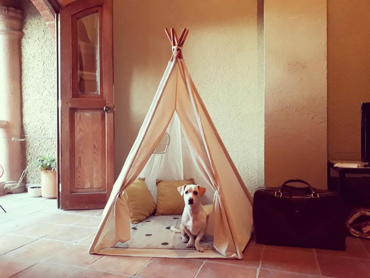 Lool Beh Hostal San Miguel de Allende Eksteriør bilde